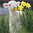 Andrea_Del_Rosario_P